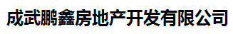 成武鹏鑫房地产开发有限公司